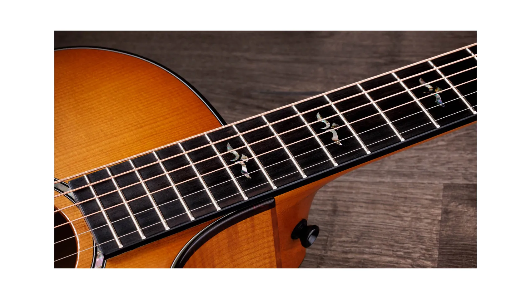 Taylor-Guitar-Next Generation